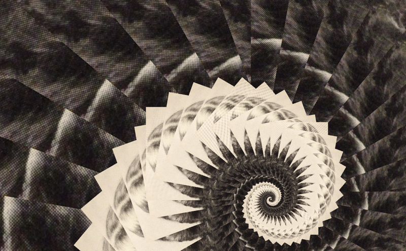 Fibonacci_SpiralKnpxAYfw.png