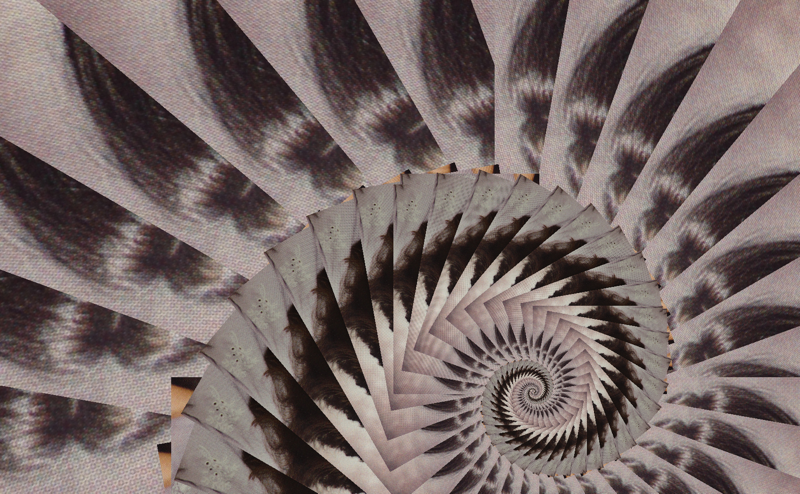 Fibonacci_Spirale4Z6vMx9.png